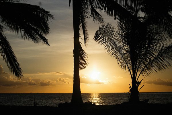Café en camping : Comment faire une bonne tasse de café en plein air