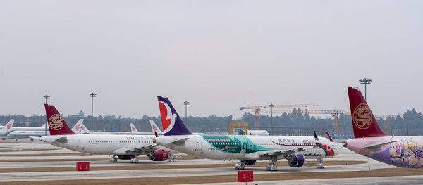 Location en bord de mer : le charme de l'insolite